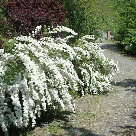 Cascina Nel Bosco Acomodação com café da manhã Moncucco Torinese Exterior foto