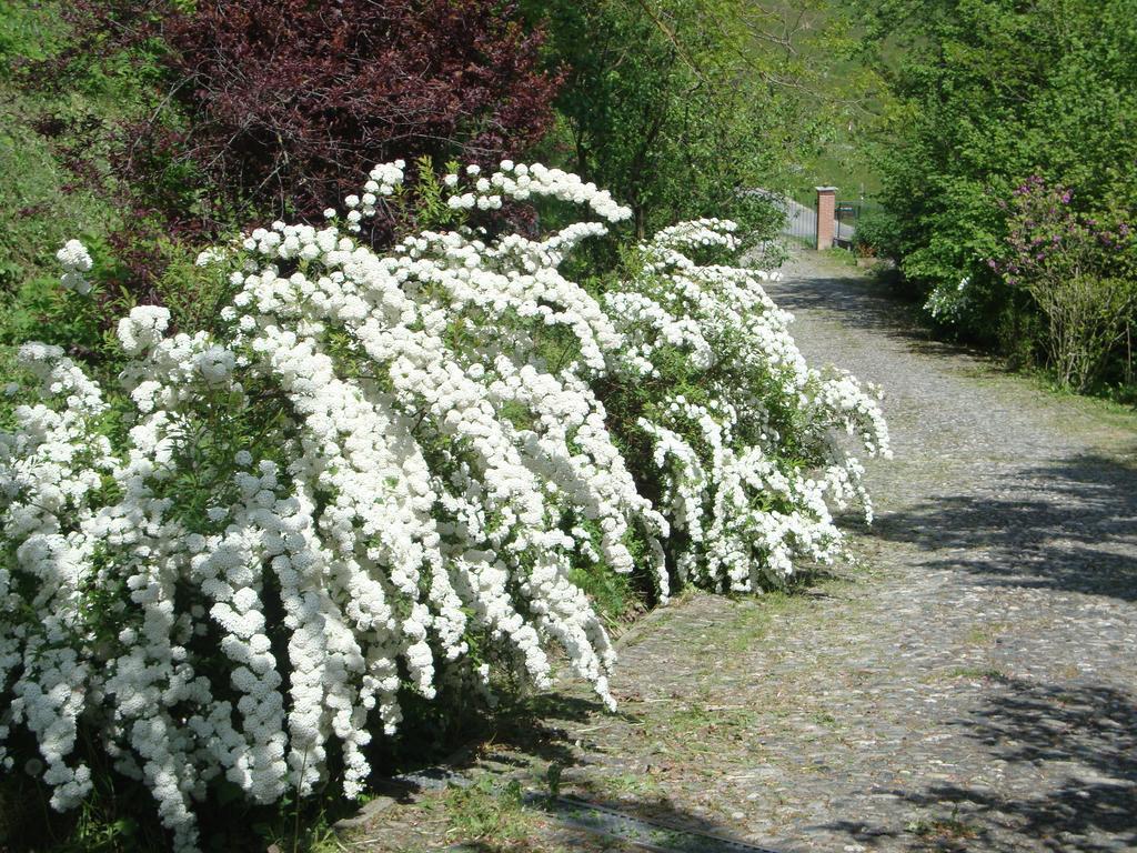 Cascina Nel Bosco Acomodação com café da manhã Moncucco Torinese Exterior foto